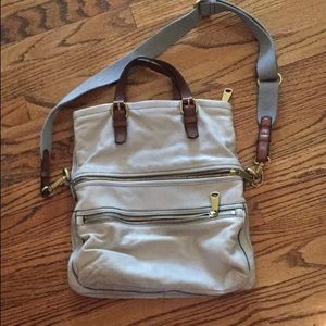 Light Blue Fossil Explorer